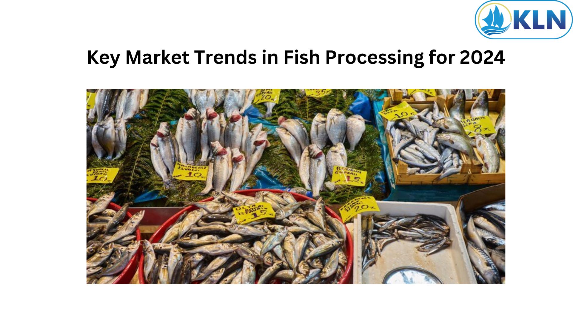 Key Market Trends in Fish Processing for 2024